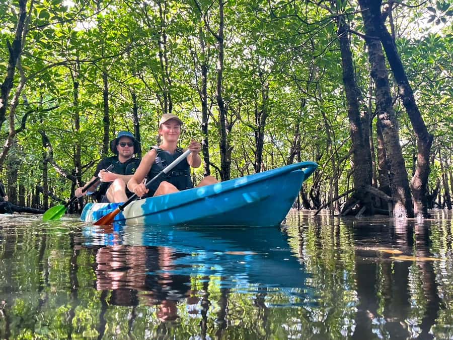 Iriomote island: Mangrove River SUP or Canoe Cruising Tour - Why Iriomote’s mangroves are worth your morning