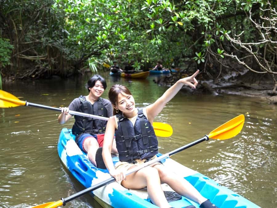 Iriomote island: Mangrove River SUP or Canoe Cruising Tour - Ninety minutes among the mangrove channels