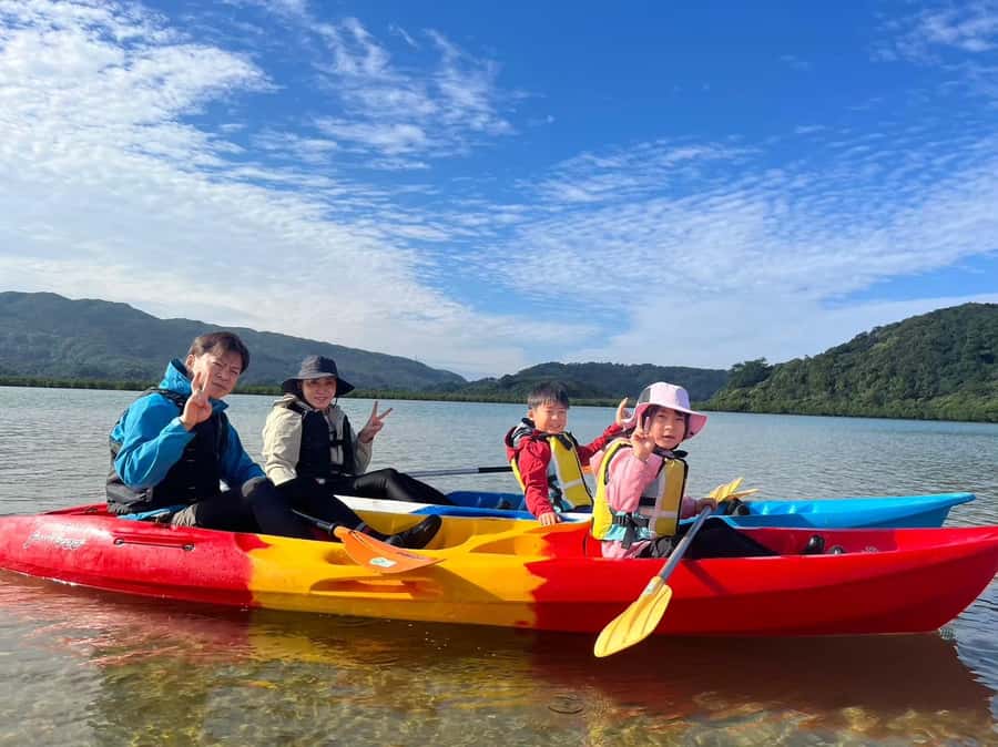 Iriomote island: Mangrove River SUP or Canoe Cruising Tour - The low-tide walk and the 15-minute pause