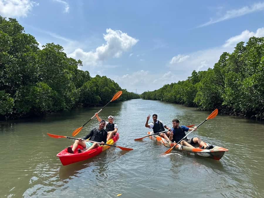 Iriomote island: Mangrove River SUP or Canoe Cruising Tour - What the guides add to the experience