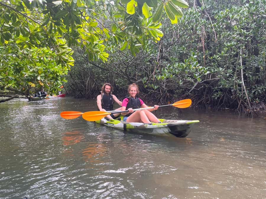 Iriomote island: Mangrove River SUP or Canoe Cruising Tour - How the $50 price holds up