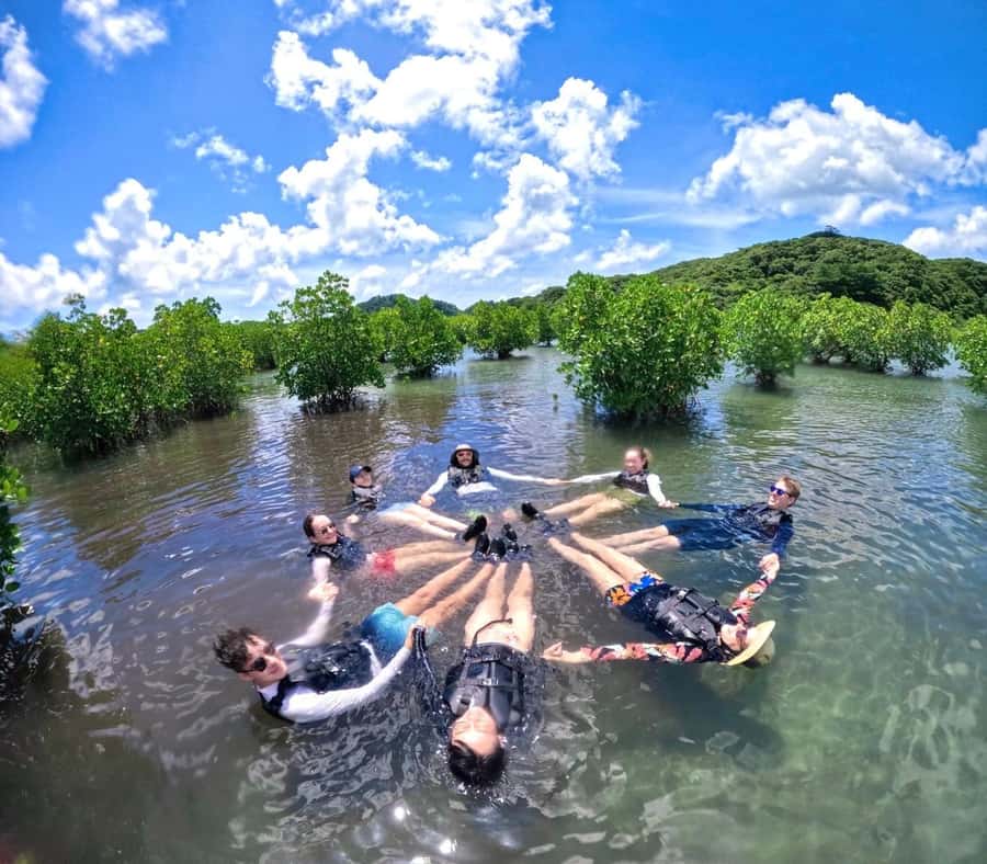 Iriomote island: Mangrove River SUP or Canoe Cruising Tour - Who should book this canoe tour