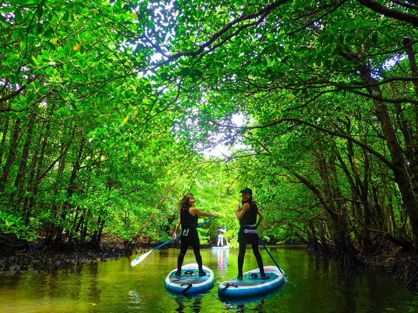 Iriomote Island: SUP or Canoeing and Canyoning Tour - Practical preparation for a smoother day