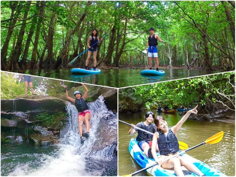 Iriomote Island: SUP or Canoeing and Canyoning Tour - Paddling quietly through the mangroves