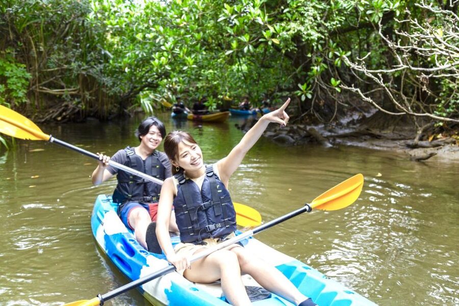 Iriomote Island: SUP or Canoeing and Canyoning Tour - What is included for $96