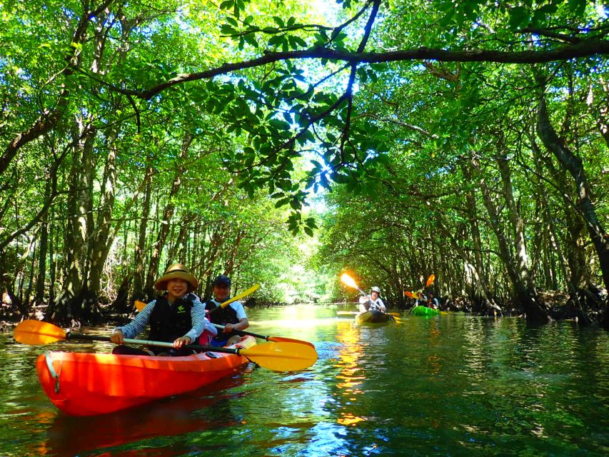 Iriomote Island: SUP or Canoeing and Canyoning Tour - Starting at Uehara Port
