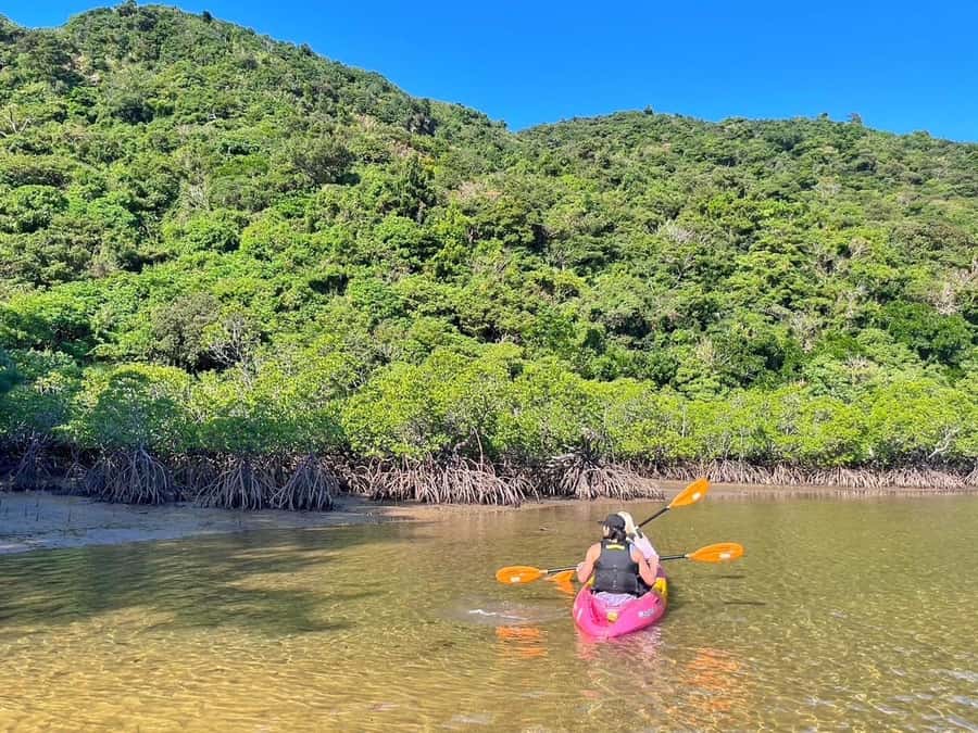 Iriomote Mangrove SUP and Snorkeling at Coral island - Small details that make the day easier