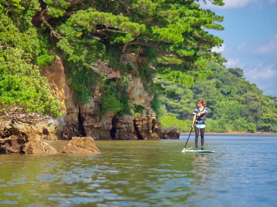 Iriomote Mangrove SUP and Snorkeling at Coral island - Snorkeling near Iriomote’s coral reefs