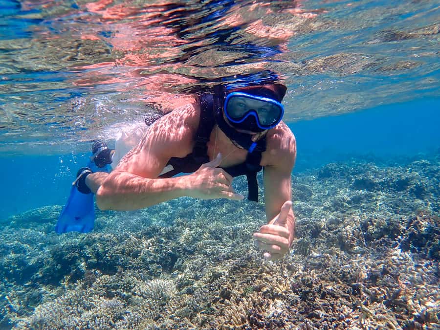 Iriomote Mangrove SUP and Snorkeling at Coral island - Starting at Uehara Port and heading to sea