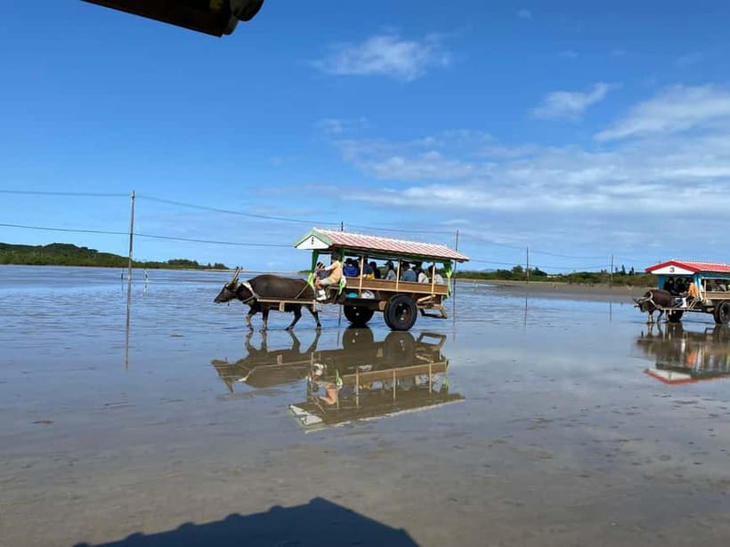 Iriomote: Mangrove SUP or Canoe and Yubujima sightseeing - Paddling through Iriomote’s great mangrove forest