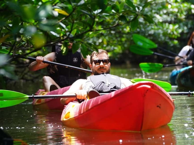 Iriomote: Mangrove SUP or Canoe and Yubujima sightseeing - The long pause between water and island