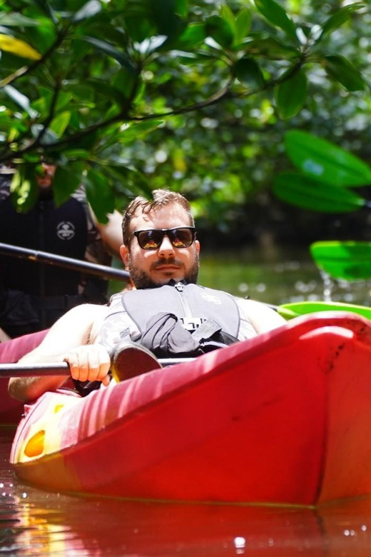 Iriomote: Mangrove SUP or Canoe and Yubujima sightseeing - Is $80 a fair price?