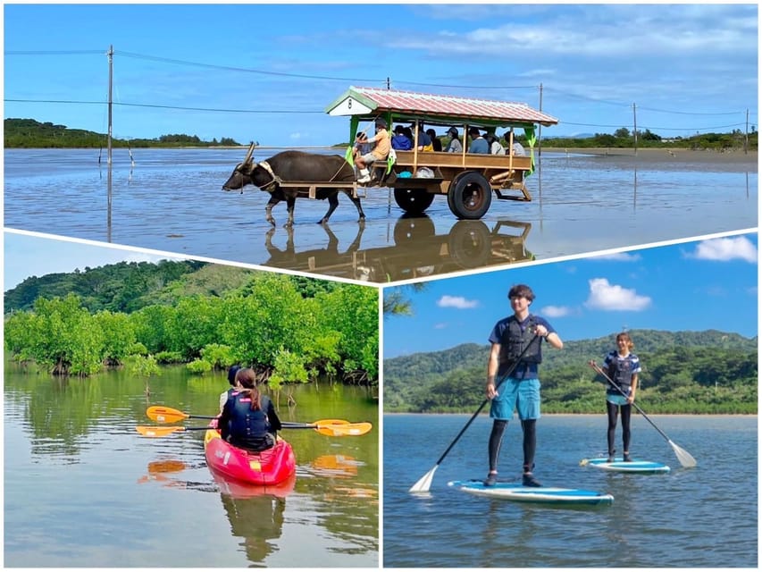 Iriomote: Mangrove SUP or Canoe and Yubujima sightseeing - Who will enjoy this Iriomote day?