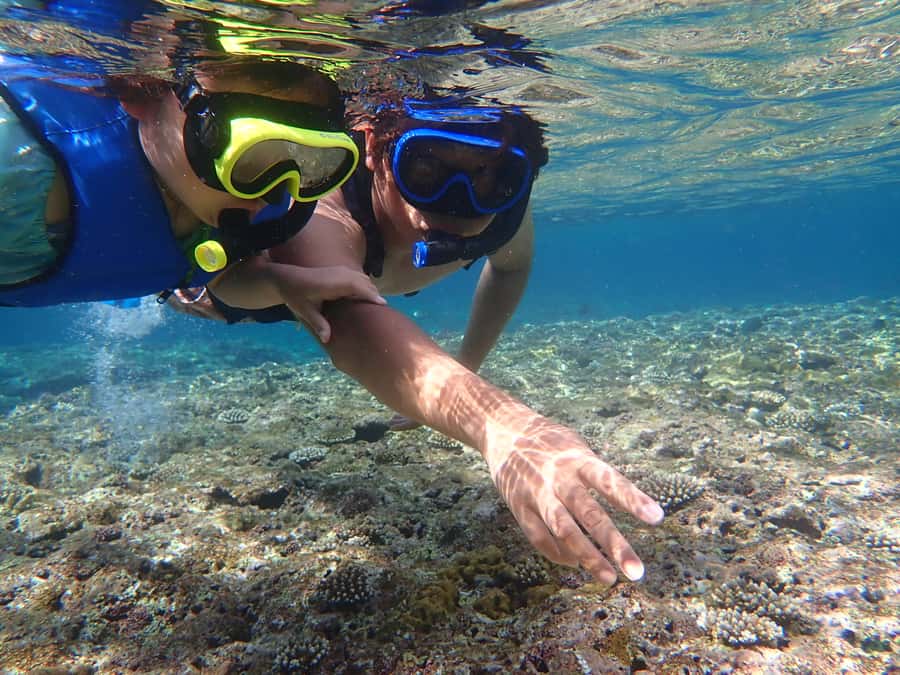 Ishigaki: Canoe or SUP at Kabira Bay&Snorkeling at Blue Cave - Who will get the most from this tour