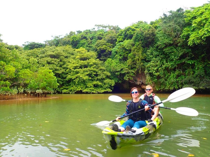 Ishigaki Island: 2-Hour Miyara River SUP or Canoeing Tour - A quiet way to meet Ishigaki’s mangrove forest