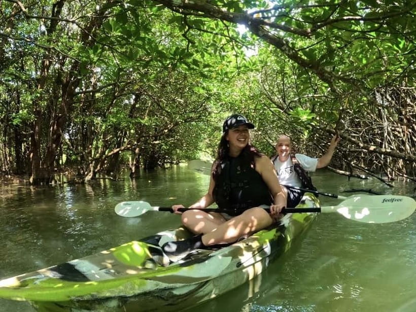 Ishigaki Island: 2-Hour Miyara River SUP or Canoeing Tour - Meeting at Ishigaki Port and starting smoothly