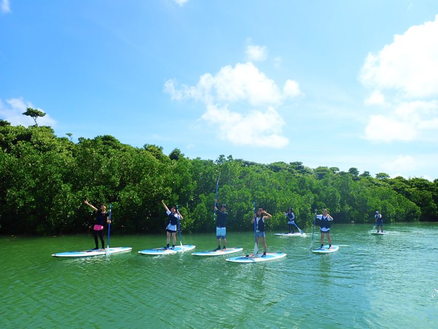 Ishigaki Island: 2-Hour Miyara River SUP or Canoeing Tour - Wildlife, shade, and what the river feels like