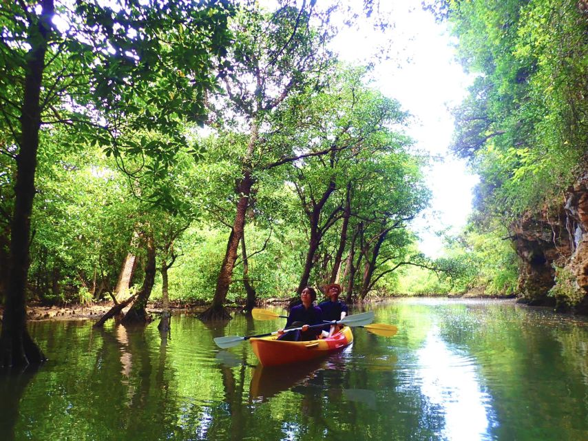 Ishigaki Island: 2-Hour Miyara River SUP or Canoeing Tour - Is two hours enough?