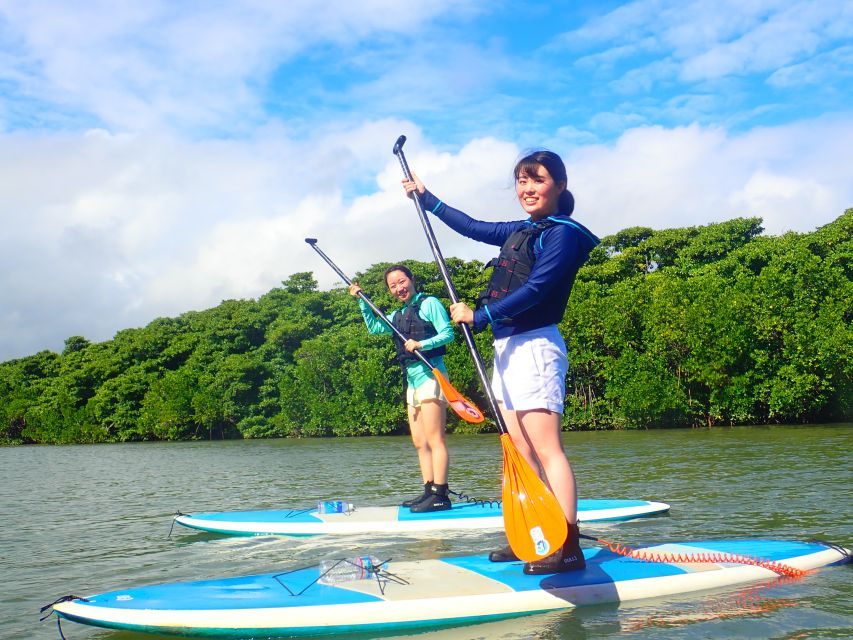 Ishigaki Island: 2-Hour Miyara River SUP or Canoeing Tour - Who will get the most from this tour?