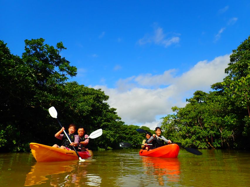 Ishigaki Island: 2-Hour Miyara River SUP or Canoeing Tour - Canoe or SUP: choosing the right boat