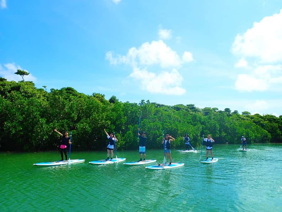 Ishigaki Island: SUP or Canoeing and Snorkeling at Blue Cave - What to bring and how to prepare