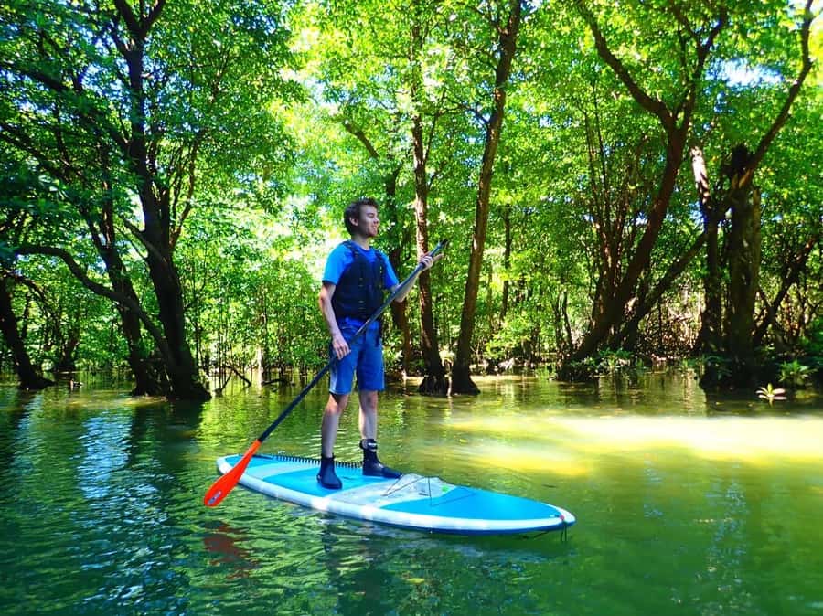 Ishigaki Island: SUP or Canoeing and Snorkeling at Blue Cave - One quiet hour on the Miyara River
