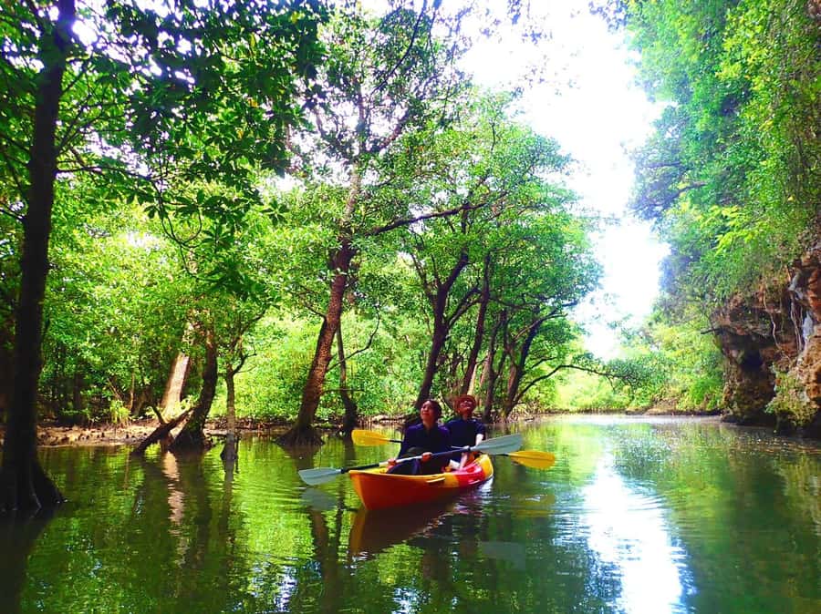 Ishigaki Island: SUP or Canoeing and Snorkeling at Blue Cave - The long port break and buying lunch