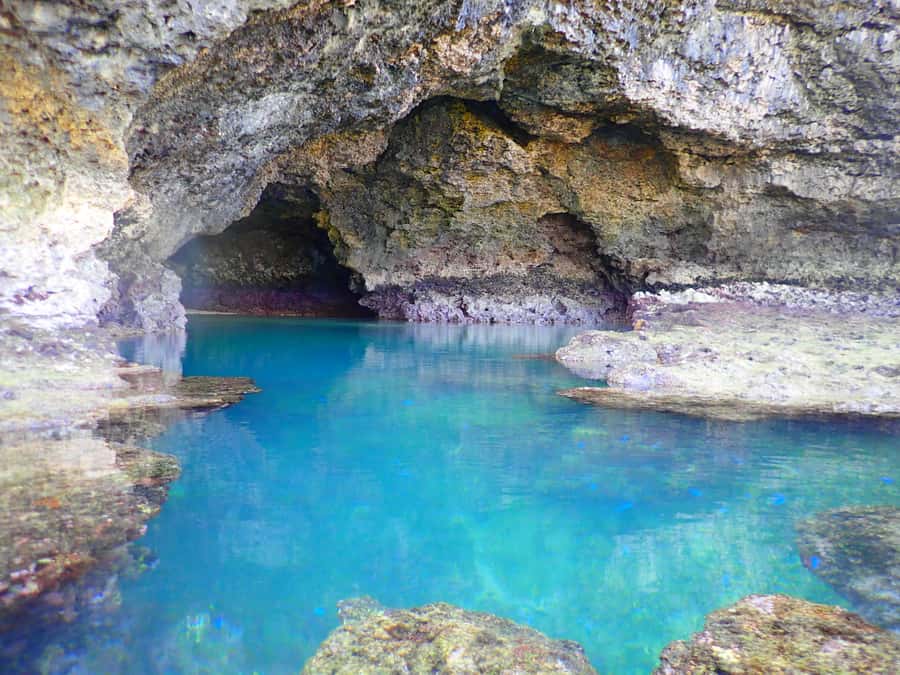 Ishigaki Island: SUP or Canoeing and Snorkeling at Blue Cave - Is the $93 price good value?