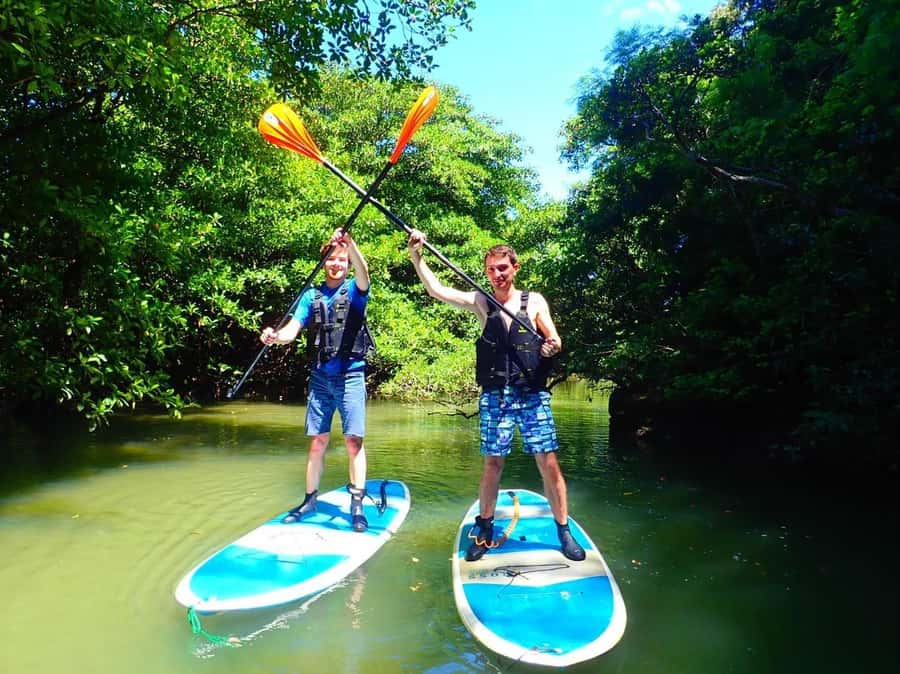 Ishigaki Island: SUP or Canoeing and Snorkeling at Blue Cave - Starting at Ishigaki Port