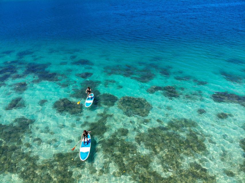 Ishigaki Island: SUP or Kayaking experience at Kabira Bay - Key points at a glance