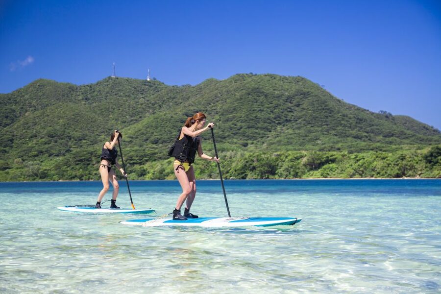 Ishigaki Island: SUP or Kayaking experience at Kabira Bay - Who will enjoy this Ishigaki outing?