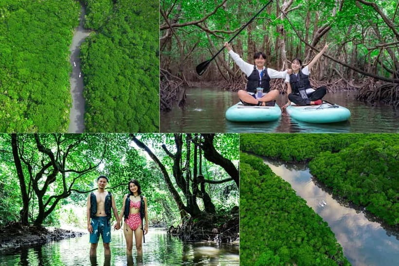 Ishigaki:Mangrove&Sea SUP/Kayak Tour with SLR&Drone footage - Starting at Fukitobashi parking lot