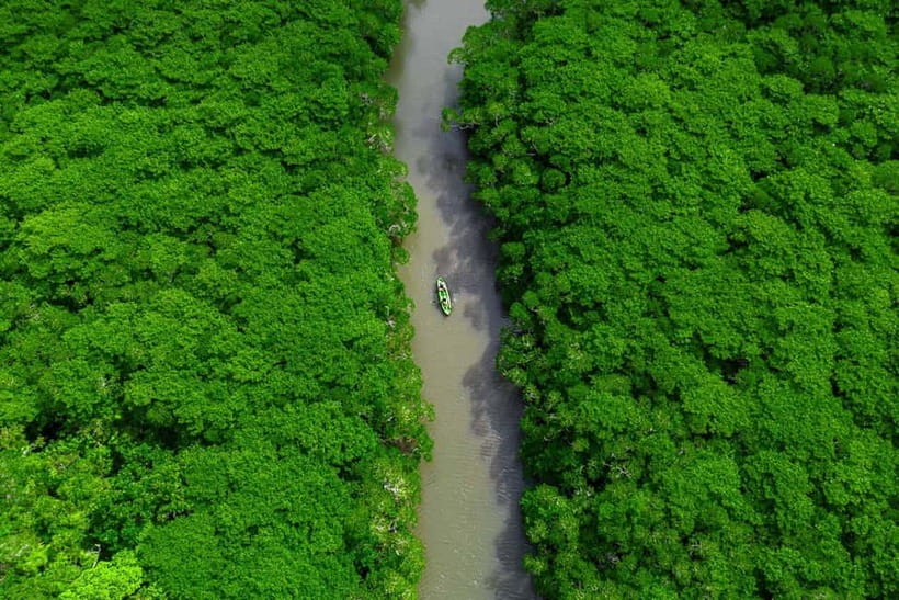Ishigaki:Mangrove&Sea SUP/Kayak Tour with SLR&Drone footage - Who should choose SUP and who should choose a canoe
