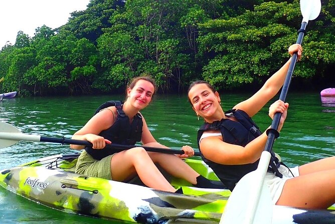 [Ishigaki]Mangrove SUP/Canoe + Blue Cave Snorkeling - Who will enjoy this tour most