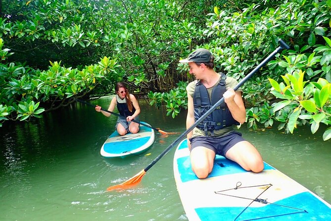 [Ishigaki]Mangrove SUP/Canoe + Blue Cave Snorkeling - Paddling the Miyara River mangroves