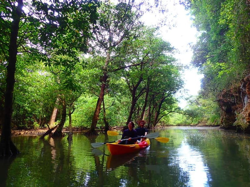 Ishigaki: Mangrove SUP or Canoe & Phantom Island Snorkeling - Key points to know before booking
