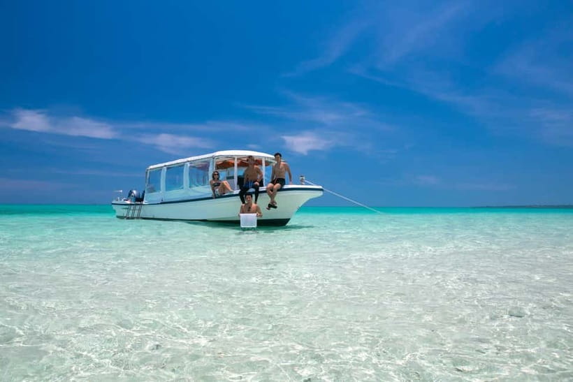 Ishigaki: Mangrove SUP or Canoe & Phantom Island Snorkeling - Two sides of Ishigaki in one six-hour day