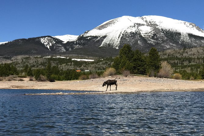 Island Kayak Tour Experience in Frisco - Value, timing, and what you receive