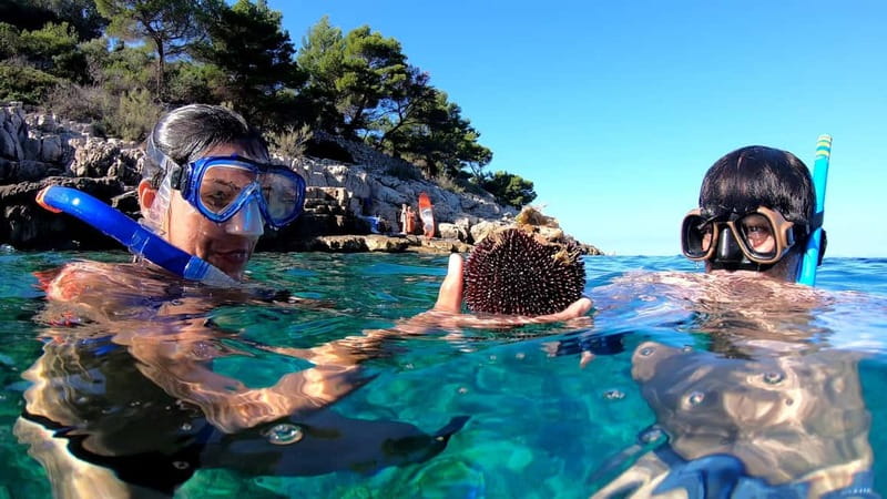Island Losinj Kayak Tour - Key points at a glance