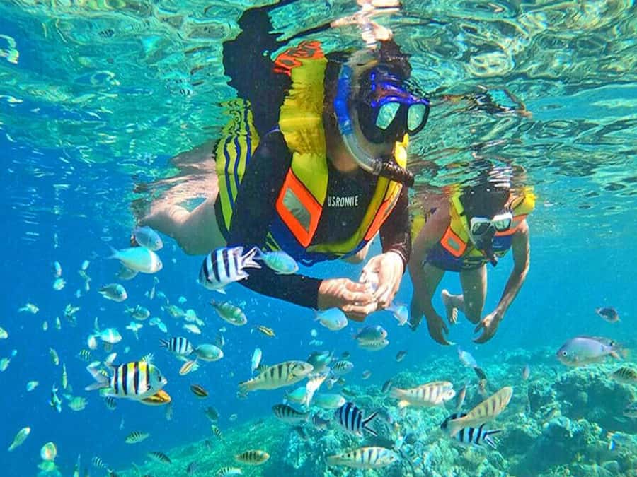 Jakarta: Thousand Island Tour with Canoeing and Snorkeling - Lunch, drinks, and the level of comfort