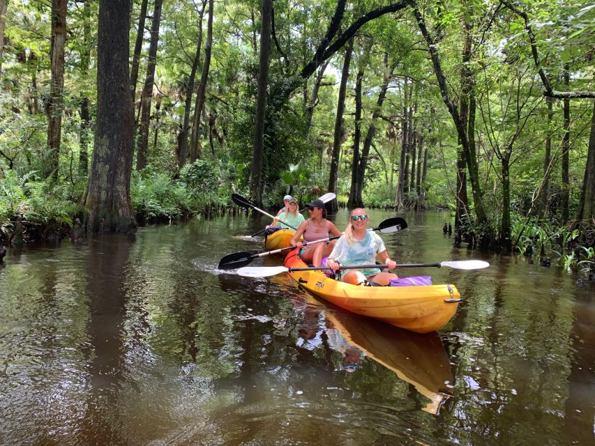 Jupiter: Wild and Scenic Loxahatchee River Kayak Tour - Key points to know before you paddle