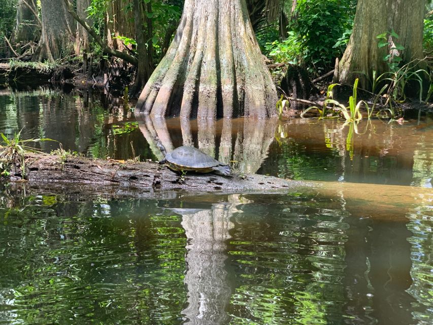 Jupiter: Wild and Scenic Loxahatchee River Kayak Tour - Starting at Riverbend Park in Jupiter