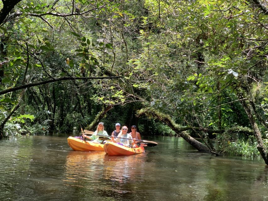 Jupiter: Wild and Scenic Loxahatchee River Kayak Tour - Wildlife along the winding water