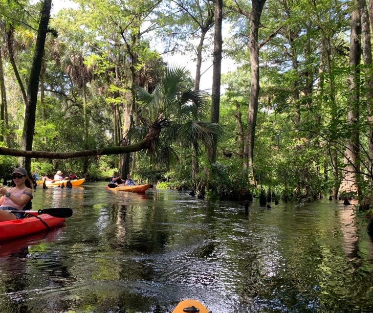 Jupiter: Wild and Scenic Loxahatchee River Kayak Tour - Stories of the Loxahatchee River