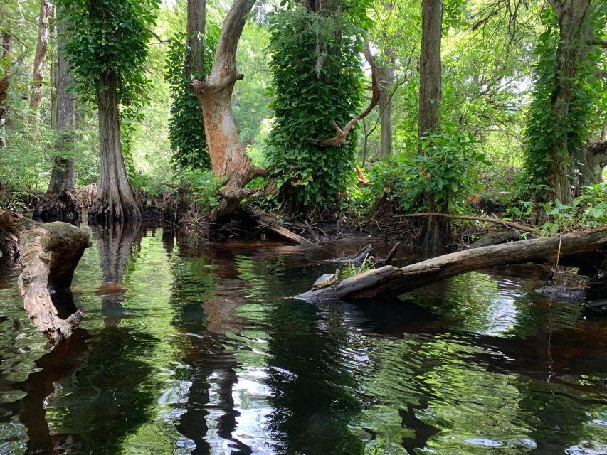 Jupiter: Wild and Scenic Loxahatchee River Kayak Tour - Two hours on a manageable route
