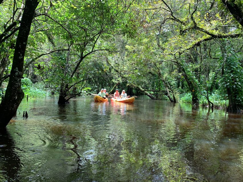 Jupiter: Wild and Scenic Loxahatchee River Kayak Tour - Weather, comfort, and small practical matters