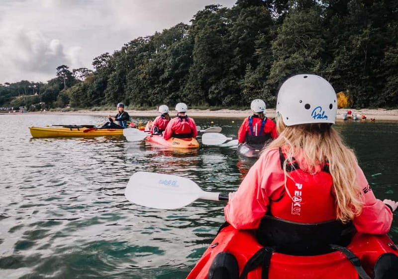 Jurassic Coast Kayaking Tour to Old Harry Rocks - What to bring and what the price covers
