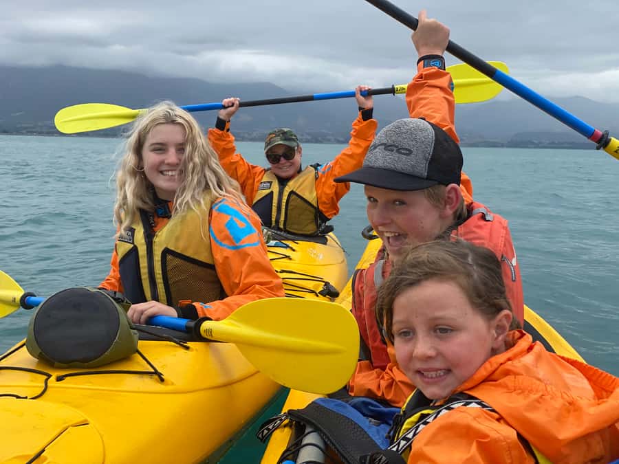 Kaikoura: Guided Family Kayaking Adventure - Meeting the fur seals