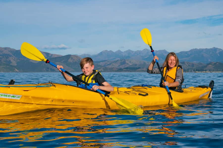 Kaikoura: Guided Family Kayaking Adventure - Birds, fish, dolphins, and jellyfish