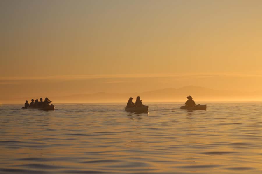 Kaikōura: Kayak Sunset Tour with Seal Sightings - Why Sunset Works So Well in Kaikōura